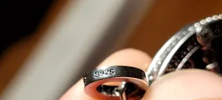 Colgante Rueda de la Fortuna Plata 925