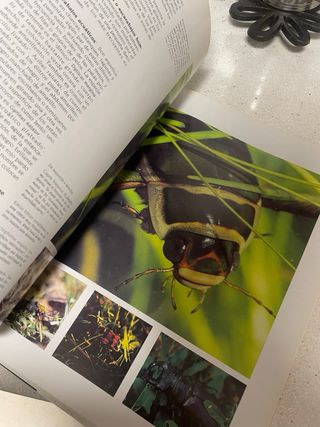 Fauna. Naturaleza Leonesa