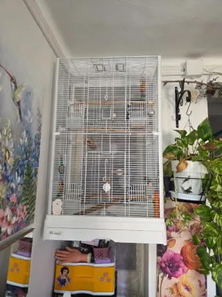 Gabbia bianca per uccelli