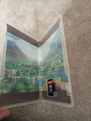 The Legend of Zelda: Echoes of Wisdom Switch