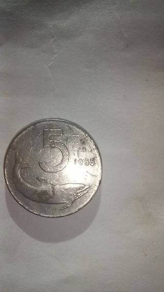 13 Monete 5 Lire 1954-1956.