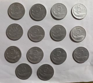 13 Monete 5 Lire 1954-1956.