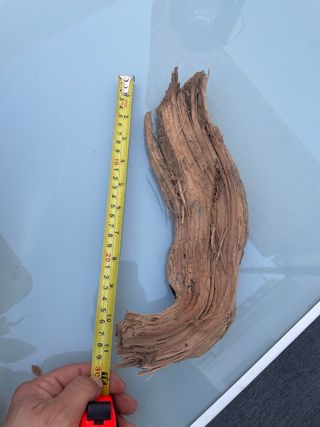 Radice Tanuki per Acquario/Terrario