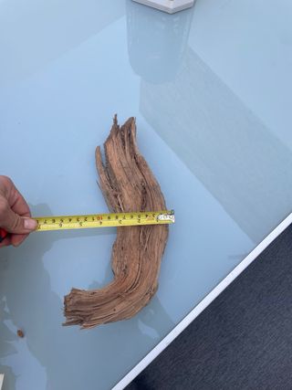 Radice Tanuki per Acquario/Terrario