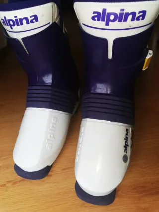 Botas de esquí Alpina 410