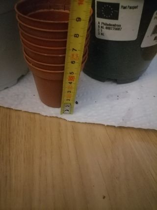 Set di vasi per piante piccole