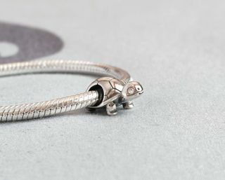 Colgantes y Charm Tortuga