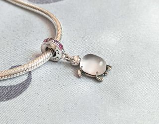 Colgantes y Charm Tortuga