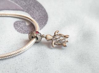 Colgantes y Charm Tortuga