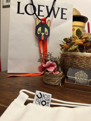 Bolsa guardapolvo Loewe