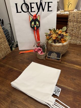 Bolsa guardapolvo Loewe