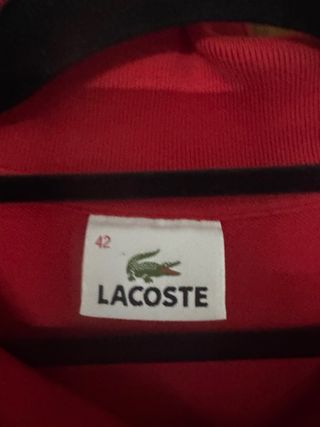 Polo Lacoste Rojo