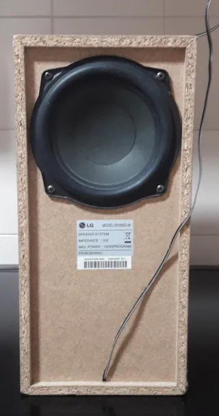 Subwoofer LG Negro