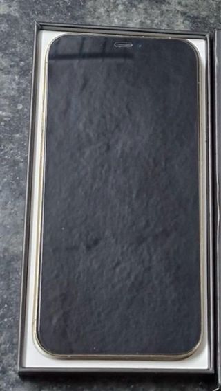 iPhone 12 Pro Max Oro