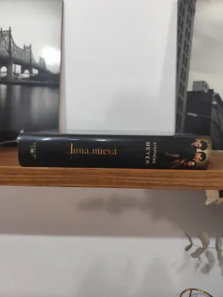 Luna nueva