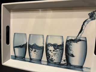 Bandeja metálica decorada con pájaros