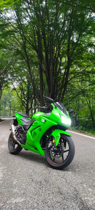 Kawasaki Ninja 250R 2008