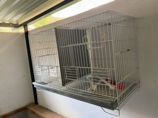 Gabbia grande per uccelli