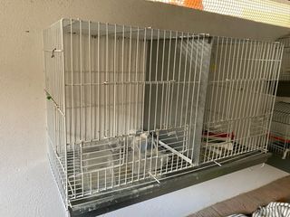 Gabbia grande per uccelli