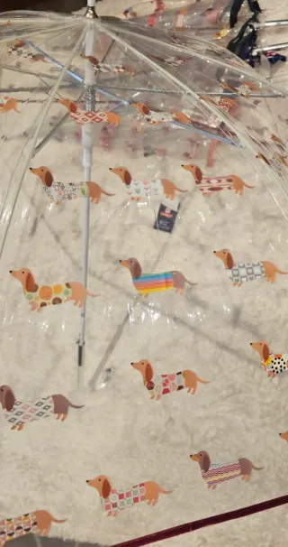 Paraguas transparente perro salchicha