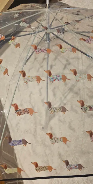 Paraguas transparente perro salchicha