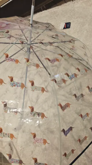 Paraguas transparente perro salchicha
