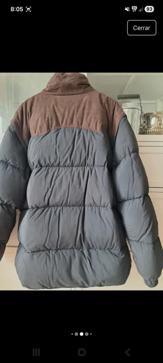 Plumifero caballero Pelikan negro