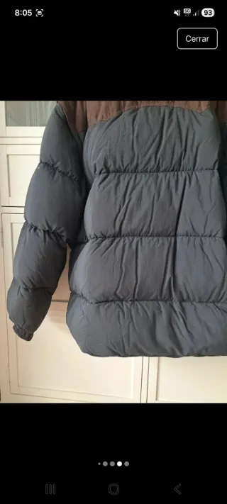 Plumifero caballero Pelikan negro