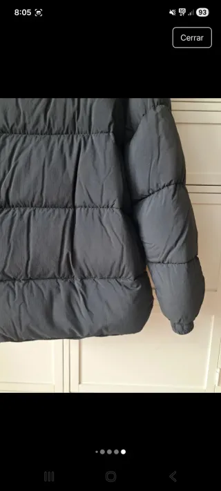 Plumifero caballero Pelikan negro