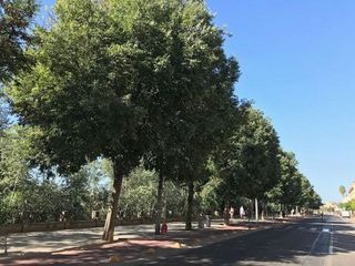 Piso en venta en Casco Histórico  - Ribera - San Basilio en Córdoba