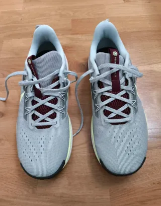 Zapatillas Nike Pegasus Trail 5 Grises/Rojas