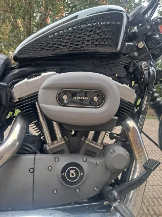 Harley Davidson XL1200N