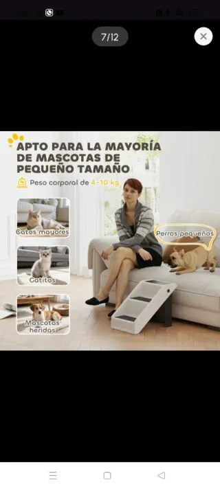 Escalera para mascotas 3 peldaños