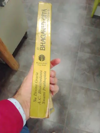 El Bhagavad gita