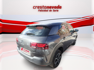 ¡SIN ENTRADA! C4 CACTUS