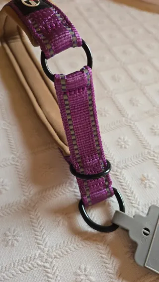 Collar para perros more4dogs sin hebillas