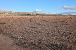 Terreno en venta en Yecla