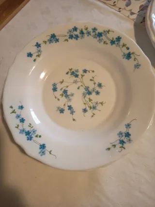 8 Piatti Arcopal Fiore Blu