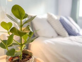 Ático en alquiler en El Botànic en Valencia