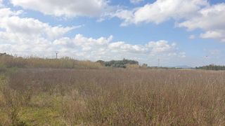 Terreno en venta en Manacor Centro en Manacor