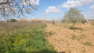 Terreno en venta en Manacor Centro en Manacor