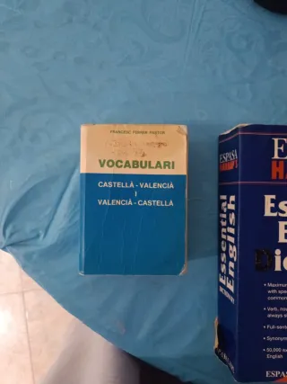 Espasa Harrap's essential english dictionary