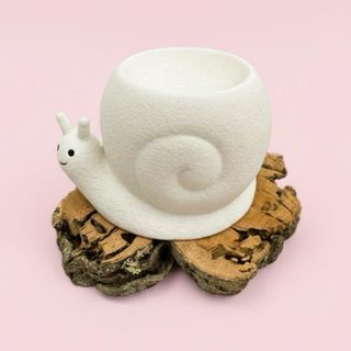 Quemador Caracol Wax Melts Nuevo