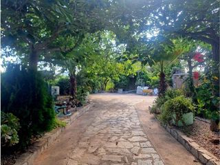 Chalet en alquiler en Alfara de Algimia