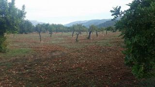 Terreno en venta en Bunyola