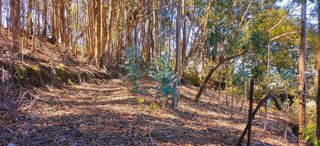 Terreno en venta en Moya