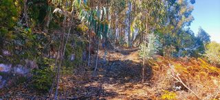 Terreno en venta en Moya