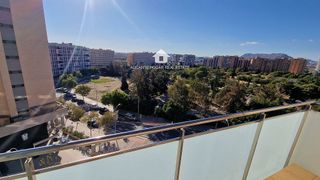 Piso en alquiler en Paus - Poligono San Blas en Alicante