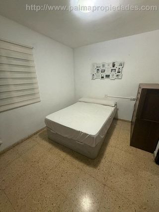 Piso en alquiler en El Terreno en Palma de Mallorca