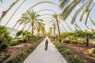 Piso en alquiler en Penya-Roja en Valencia